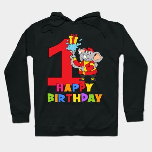 1st First Birthday Party 1 Year Old One Year Hoodie